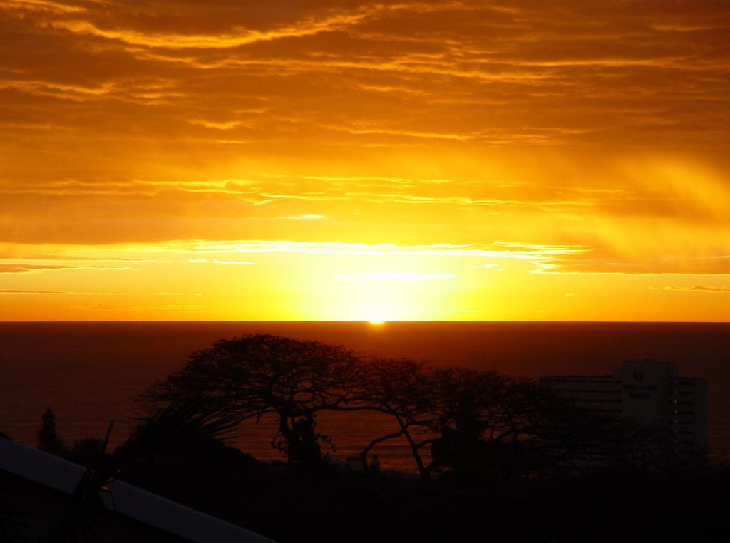 Umbrella Tree B&B Durban Luaran gambar
