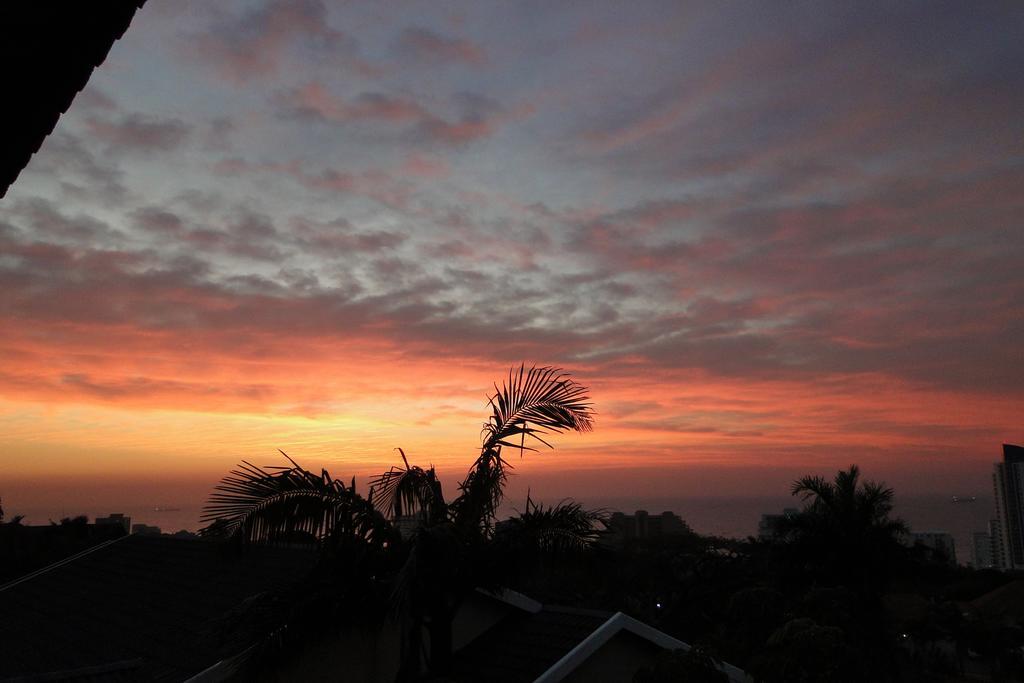 Umbrella Tree B&B Durban Luaran gambar